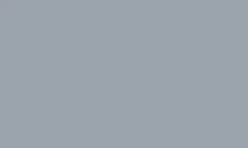 Light-Grey